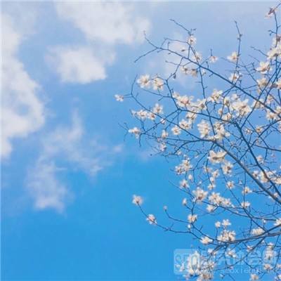 傲世仙途游戏